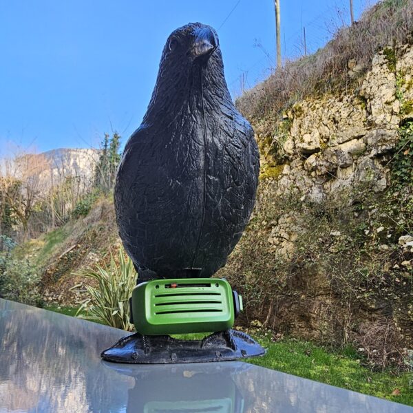 répulsif électronique anti pigeons bird control