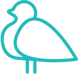 Blue Dream Répulsif anti-oiseaux à ultrasons, à piles deterrer